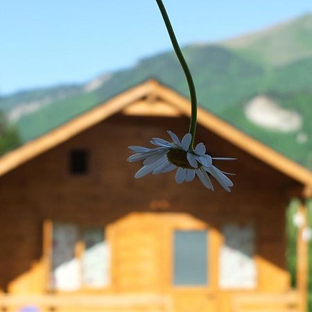 Mountain Cabins 메스티아 외부 사진
