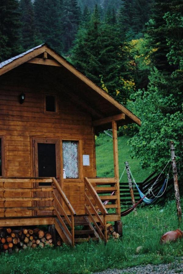 Mountain Cabins 메스티아 외부 사진