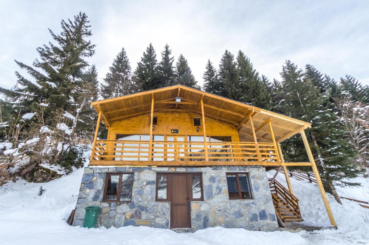 Mountain Cabins 메스티아 외부 사진