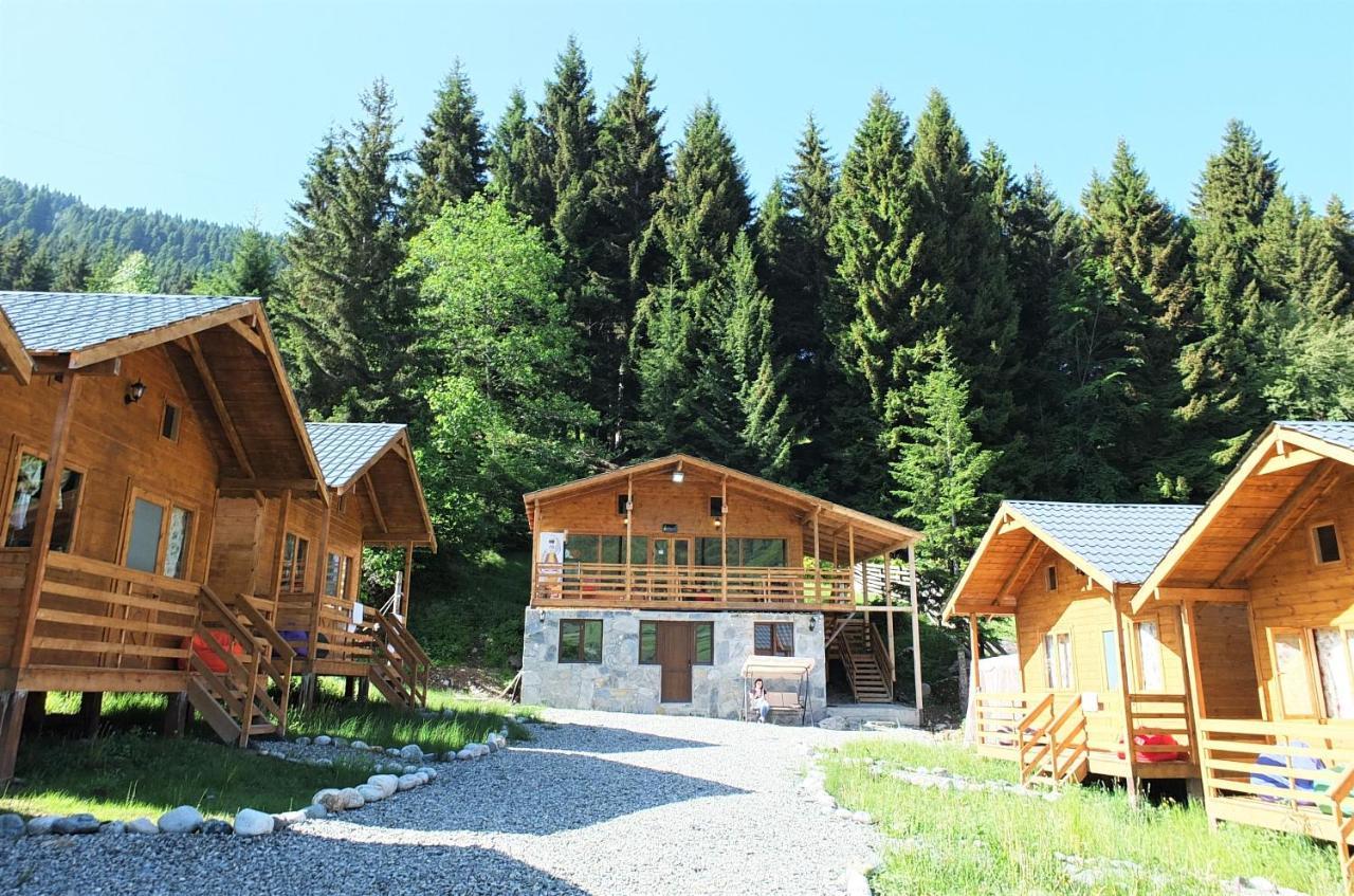 Mountain Cabins 메스티아 외부 사진