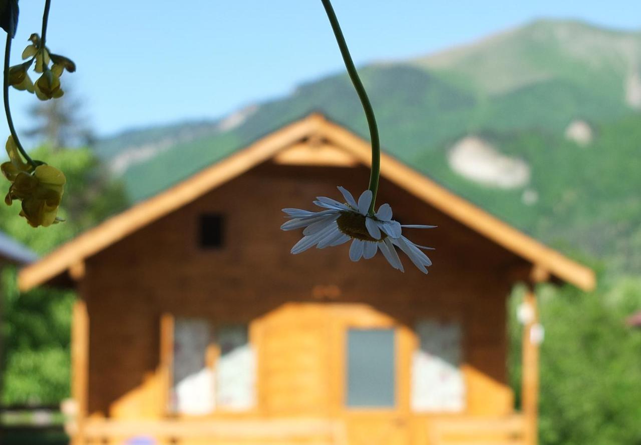 Mountain Cabins 메스티아 외부 사진